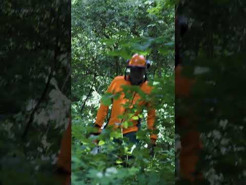 Schutzkleidung ist nur für die Motorsäge? 🦺🤔