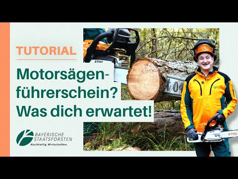 Kettensägen-Führerschein: Das lernst du WIRKLICH! | Praxis-Tipps vom Forst-Profi