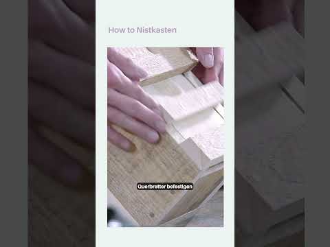Nistkasten selber bauen: DIY Anleitung für Vögel 🐦🏡 #Vogelhaus
