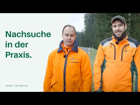 Nachsuche in der Praxis | Jagd-Tutorial der Bayerischen Staatsforsten