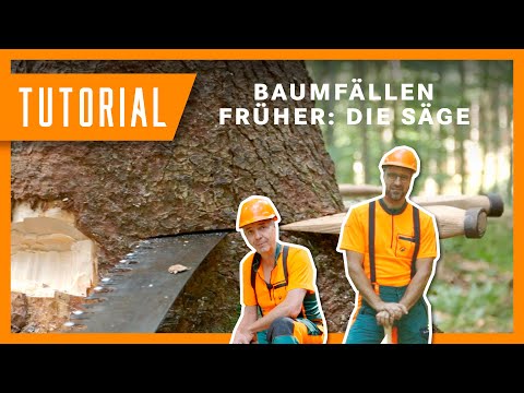 Baum fällen im Wandel der Zeit: Die Säge I Tutorial-Special der Bayerischen Staatsforsten