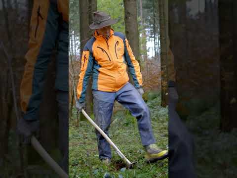 So pflanzt der Profi Bäume 🌲 Rhodener Pflanzhaue in Aktion