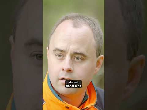 Bayerischer Gebirgsschweißhund: Die Spürnase für die Wildtier-Nachsuche 🐶🔍 #Jagdhund