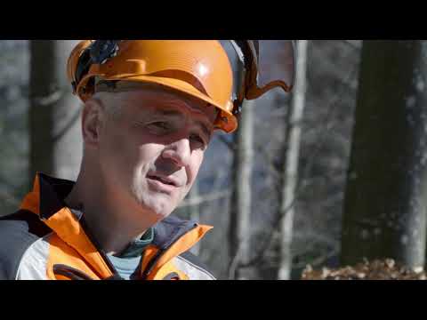 Sicher bei der Holzernte  | Tutorial der Bayerischen Staatsforsten