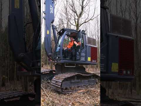 Andere ham a Büro. I hab Wald. 🔥🚜 #pflegeharvester #forstwirtschaft