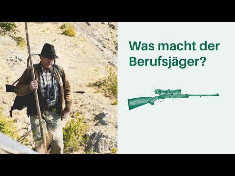 Was macht der Berufsjäger? Arbeitsplatz Wald 🌳🌲 I Berufe in Wald & Forstwirtschaft