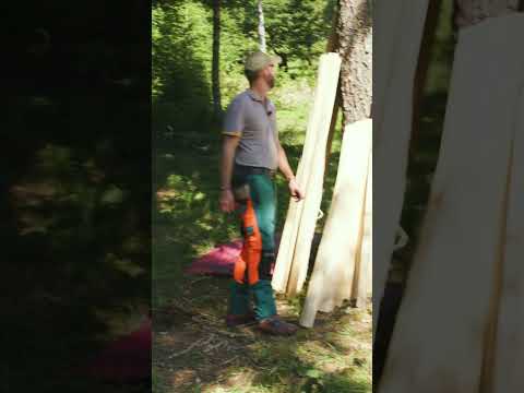 Mitten im Dreh läuft plötzlich Rotwild durchs Bild... 🦌😳