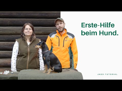 Erste-Hilfe beim Hund | Jagd-Tutorial der Bayerischen Staatsforsten