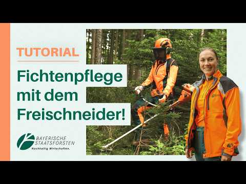Fichten‑Pflege wie die Profis: Jungbestand richtig behandeln + Freischneider‑Tricks 🌲