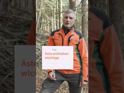 Warum sind Äste und Baumkrone wichtig? Kompost im Wald  | Waldwissen
