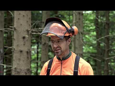 Einsatz Spillwinde in der Forstwirtschaft - Tutorial der Bayerischen Staatsforsten