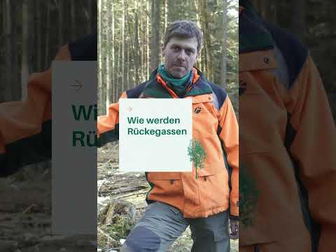 Was sind Rückegassen im Wald? | Warum sind sie nötig?