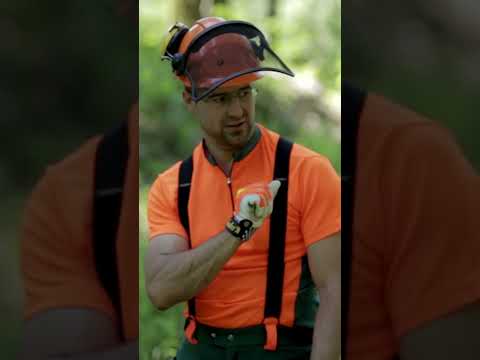 Druck- & Zugseite richtig erkennen = sicher schneiden! 🌲🪚