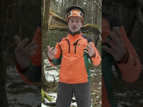 Biotopbaum erkennen und schützen | Markierung  | WALDWISSEN von Forstwirtschaftsmeistern 🌲🌳