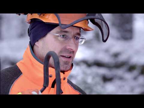 Seilwindenunterstützte Fällung nach Darmstädter Seilzugtechnik - Tutorial  Bayerische Staatsforsten