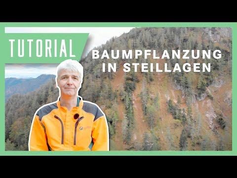 Bäume in Steillagen pflanzen: Wolfgang erklärt die richtige Technik | Forstwirtschaft Tutorial