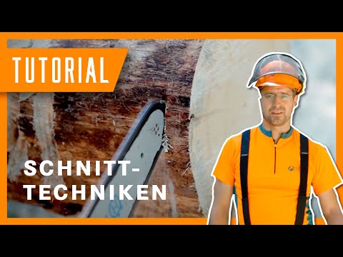 Motorsägen Tutorial: Schnitttechniken  | Anleitung und Tipps | #Holzernte Tutorial