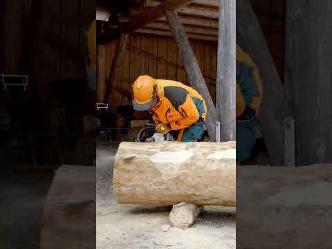 Legenden der Motorsäge – ein Abschied von Richard, Wolfi und den anderen? Nicht ganz, nur anders 😅