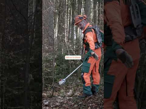 Einlaufende vs. auslaufende Kette bei Pflegesäge – und plötzlich fällt der Baum anders?! 🌲🪚