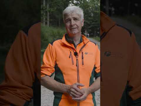 Wegepflege | Warum Forststraßen gepflegt werden müssen | Waldwissen