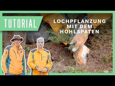 Lochpflanzung mit dem Hohlspaten: So klappt's! | Tutorial & Anleitung