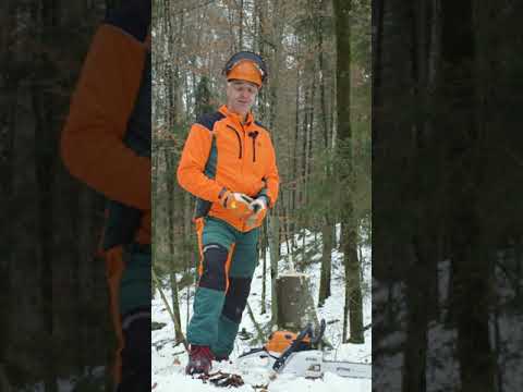 Unterhosenschnitt | Ideal für dünne Vorhänger | Baum fällen | Tutorial von Forstwirtschaftsmeister