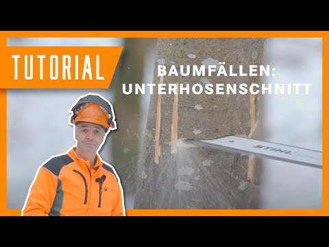 Unterhosenschnitt in der Holzernte 🩲🪓 | Fälltechnik | Sichere Holzernte #Tutorial #Forstwirtschaft