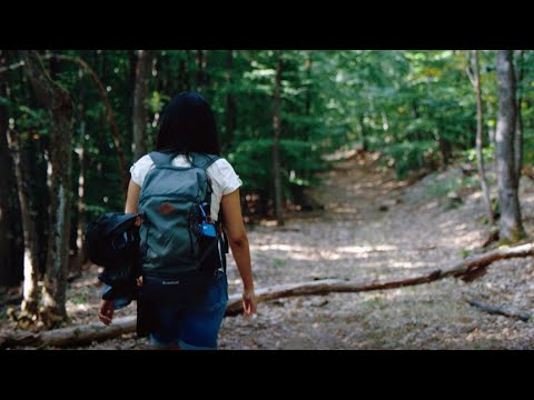 Wald im Spessart: Wanderlust statt Alltagsfrust I Eine App der Bayerischen Staatsforsten