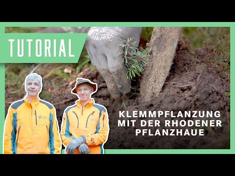 Wolfi & Sepp zeigen: Klemmpflanzung mit der Rhodener Pflanzhaue I Tutorial #Pflanzung #Pflanzen