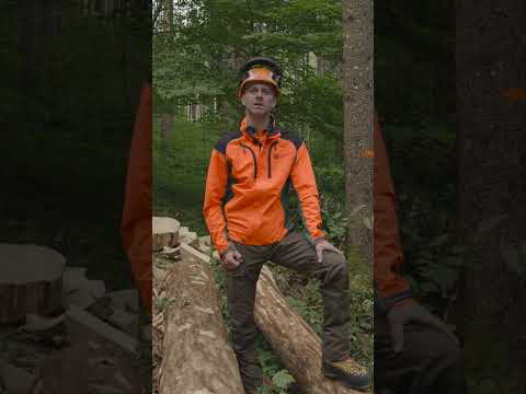 Wie erkenne ich Borkenkäferbefall? | Erkennungsmerkmale | Waldwissen