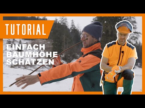 Baumhöhe messen 📐 Einfacher Stock-Trick Tutorial Schritt für Schritt | Forstpraxis & Garten | DIY