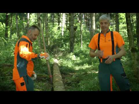 Effektives Baum-Entrinden mit dem Schäleisen | Tutorial der Bayerischen Staatsforsten 🌲 | Anleitung