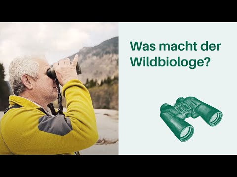Was macht der Wildbiologe / Naturschützer? Arbeitsplatz Wald 🌳🌲 I Berufe in Wald & Forstwirtschaft