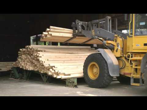 Von der Linde zum Bleistift