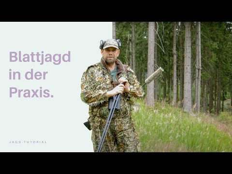 Blattjagd in der Praxis | Jagd-Tutorial der Bayerischen Staatsforsten