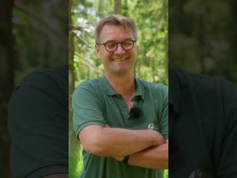 Warum Förster auch Jäger sind I WILD & EHRLICH mit Hubertus Schmidt TEASER