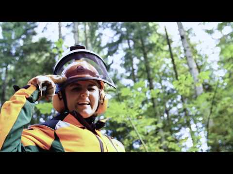 Forstwirte im Einsatz – neue Web-Serie startet