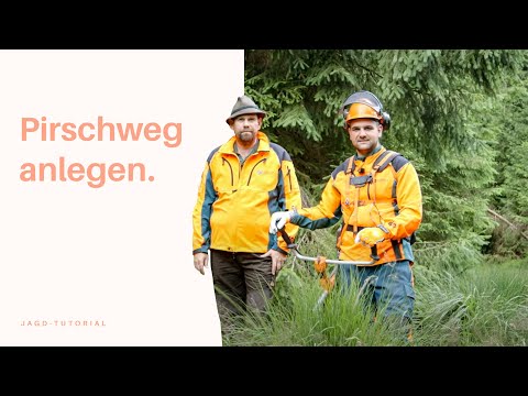 Pirschweg zum Hochsitz anlegen | Jagd-Tutorial der Bayerischen Staatsforsten