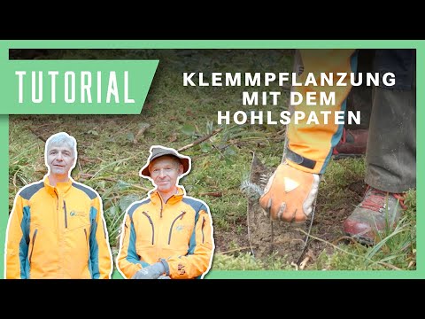Klemmpflanzung mit dem Hohlspaten | Tutorial & Anleitung von Forstwirtschaftsmeistern