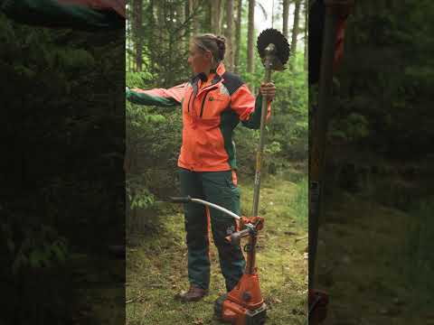 Junge Fichten richtig pflegen! 🌲💪🏼  #forstwirtschaft