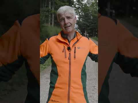 Wegereperatur im Wald | Waldwissen