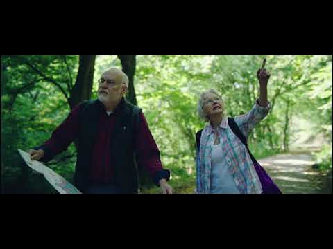 Wald im Spessart: Entdecke unsere Baumriesen I Eine App der Bayerischen Staatsforsten