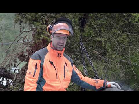 Windwurf-Aufarbeitung mit der Motorsäge, Sturmholz | Tutorial der Bayerischen Staatsforsten