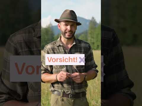Blumen pflücken – erlaubt oder verboten? 🌼🌲
