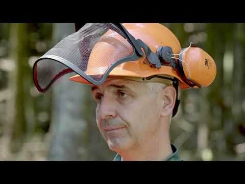 Motorsäge schärfen im Wald | Waldschärfung - Tutorial der Bayerischen Staatsforsten