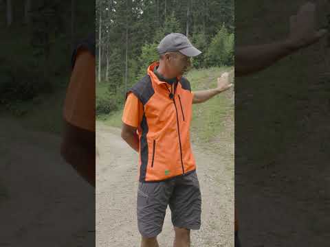 LKW-befahrbare Forststraße vs. Rückegassen: Was ist der Unterschied? 🚜🌲 | Waldwissen