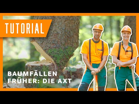 Baum fällen im Wandel der Zeit: Axt I Tutorial-Special der Bayerischen Staatsforsten
