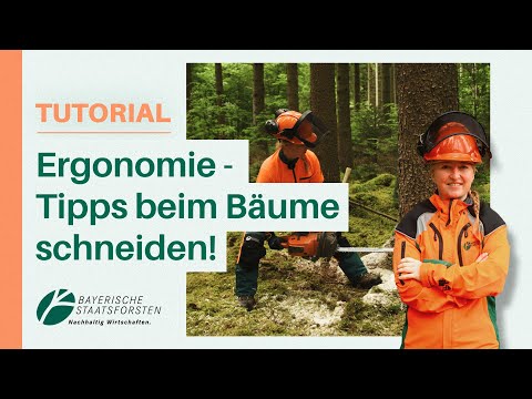 Sicher Bäume fällen: So schonst du deinen Rücken im Wald | Tipps für Arbeiten im Wald