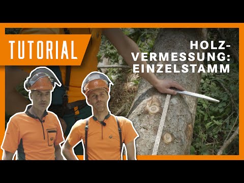Tobi & Flori erklären: Rundholz vermessen I Holzvermessung Einzelstamm I Tutorial der BaySF