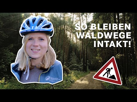 Wegepflege? Wege im Wald für Freizeit, Rettung & Forstwirtschaft I BaySF Web-Reportage